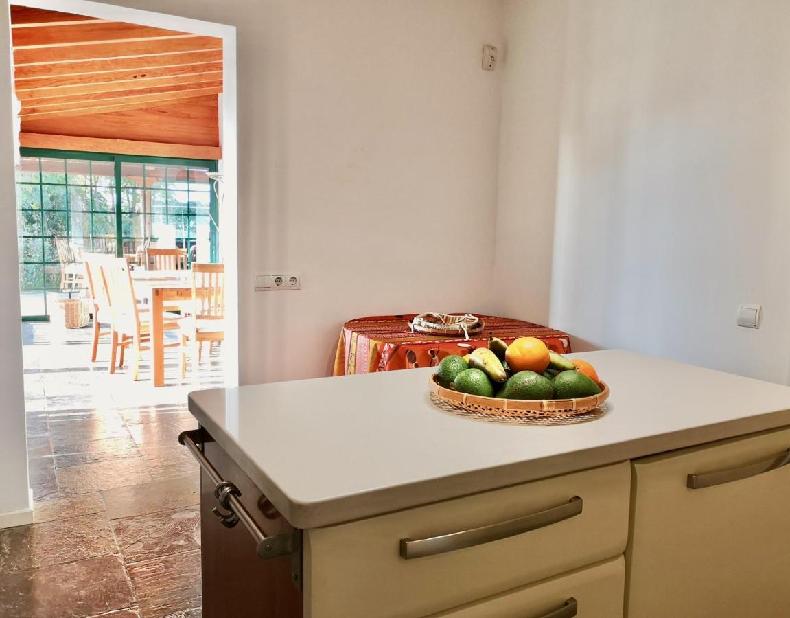 La Matanza De Acentejo Nanou House 빌라 외부 사진